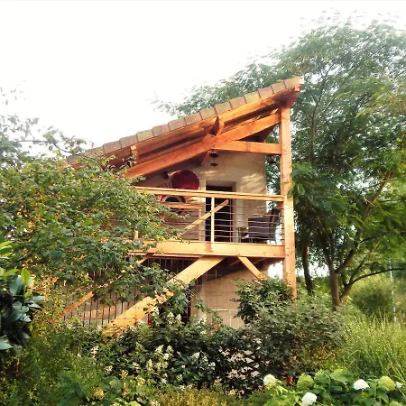 D'hote D'herisson Hérisson