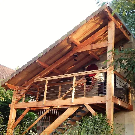 D'hote D'herisson Hérisson